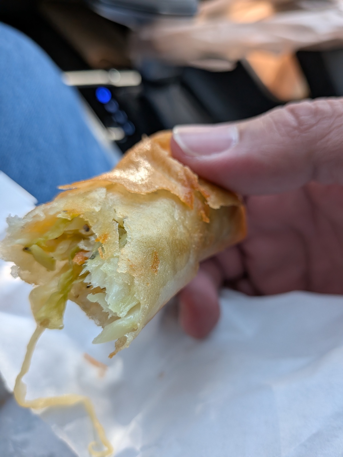 Parking lot veggie egg roll, photographed in Austin, Texas.